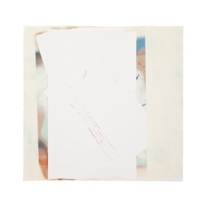 Dacelo Gigantea-spray on PVC 60x60cm-2012