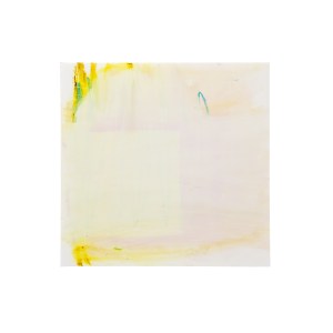 Senza Titolo-oil pastels on PVC 50x50cm-2014