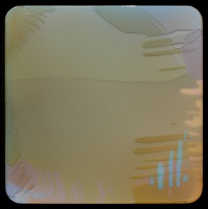 Khartoum north 80X80